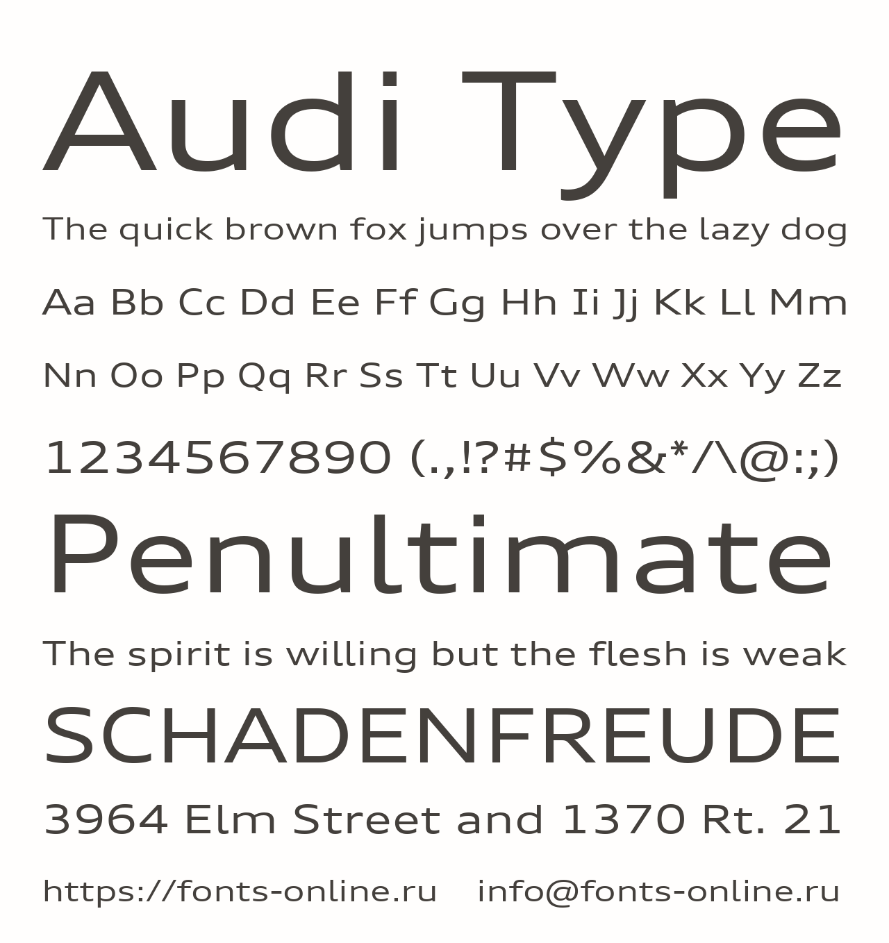 Audi Type