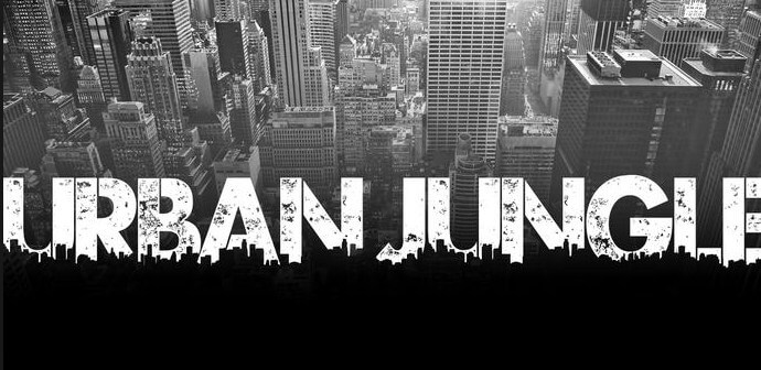 Urban Jungle