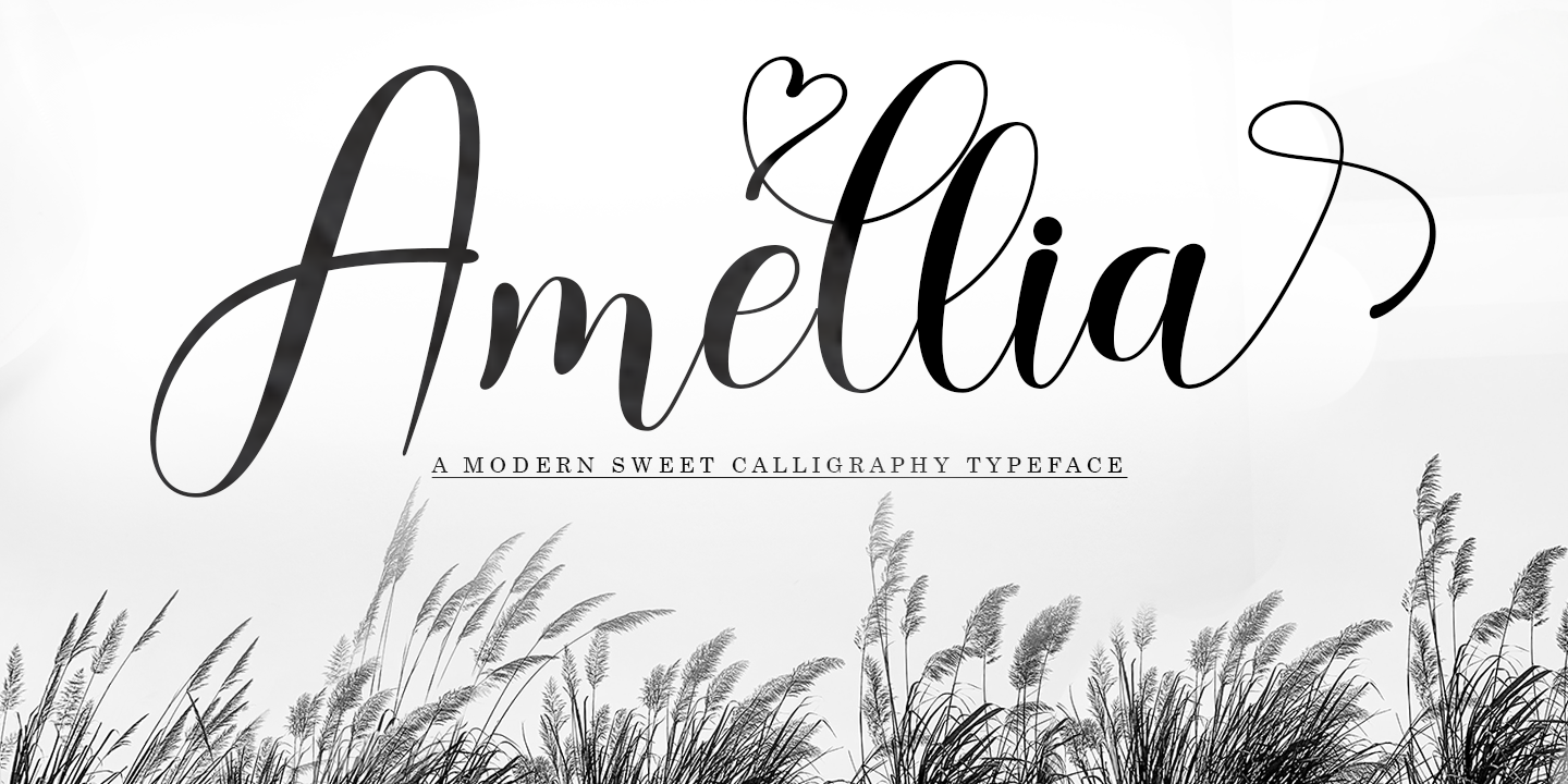 Amellia Script: download for free and install for your website or ...