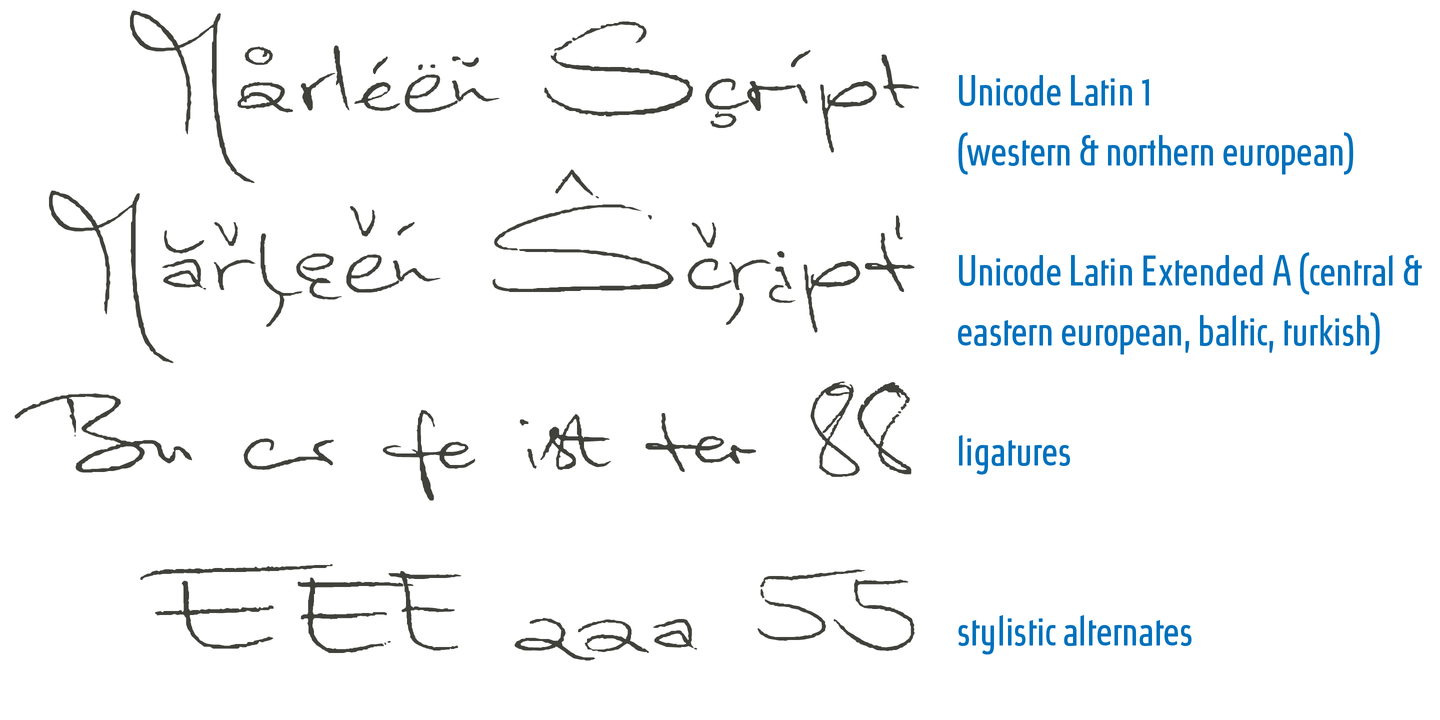Marleen Script: download for free and install for your website or ...