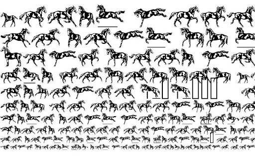 Linotype Dressage