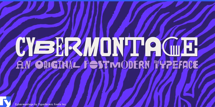 Cybermontage