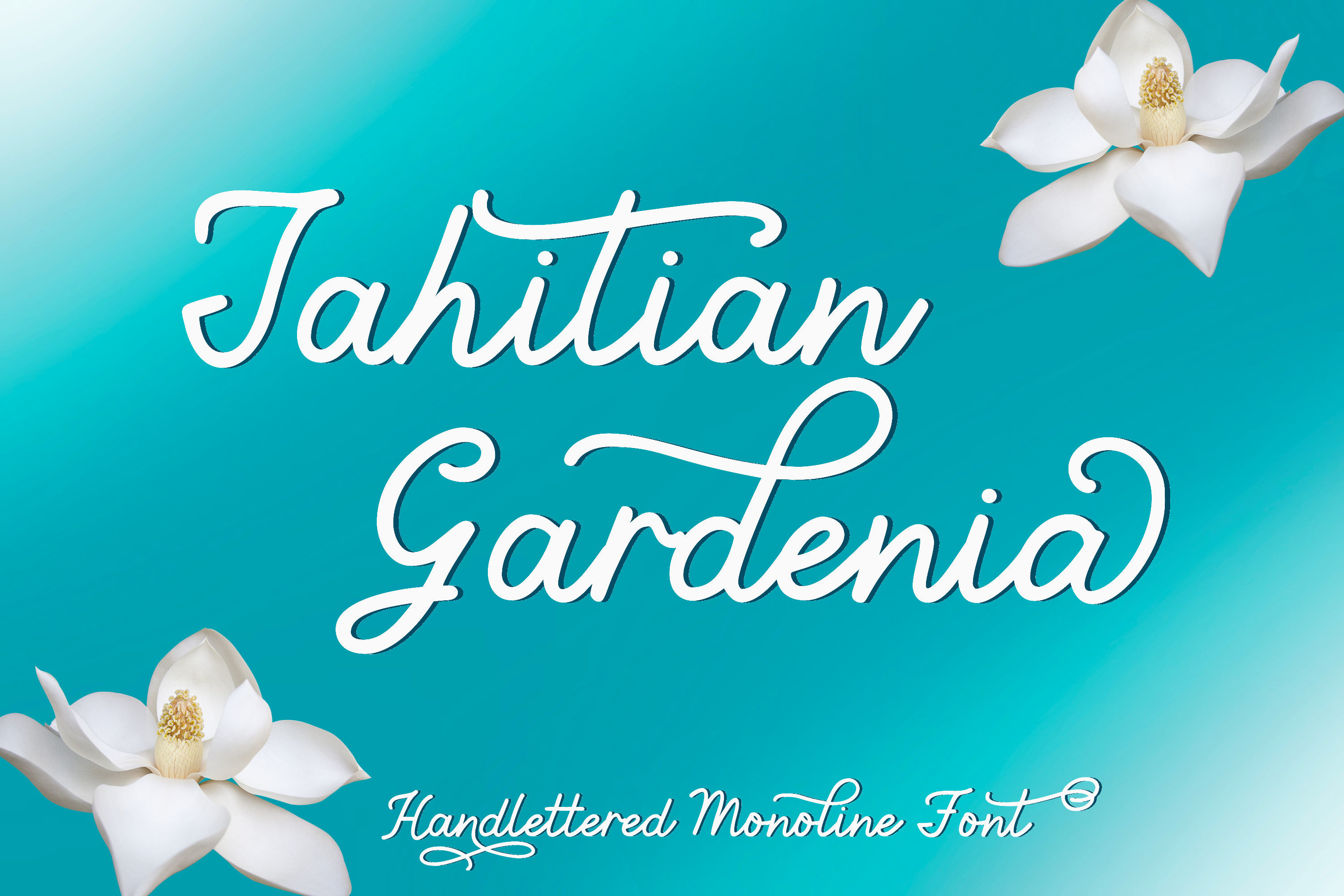 Tahitian Gardenia