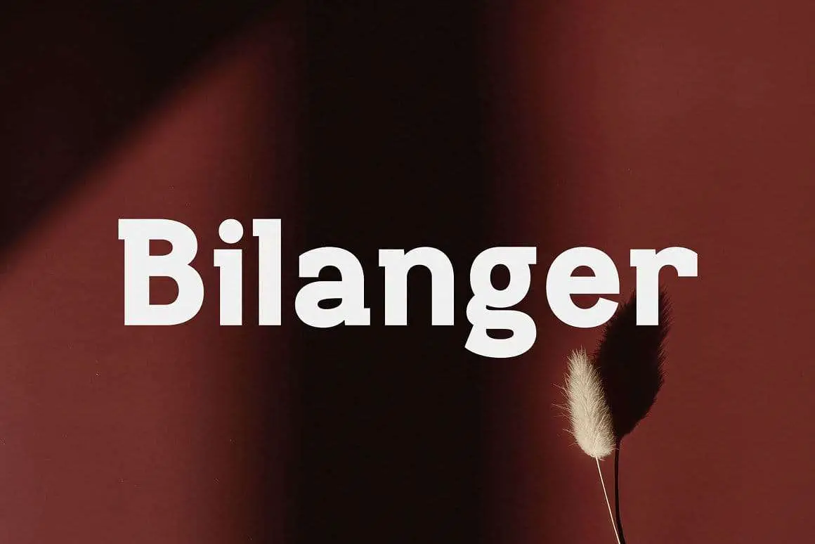 Bilanger