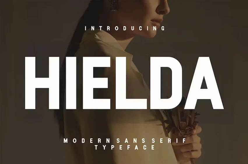 HIELDA: download for free and install for your website or Photoshop.