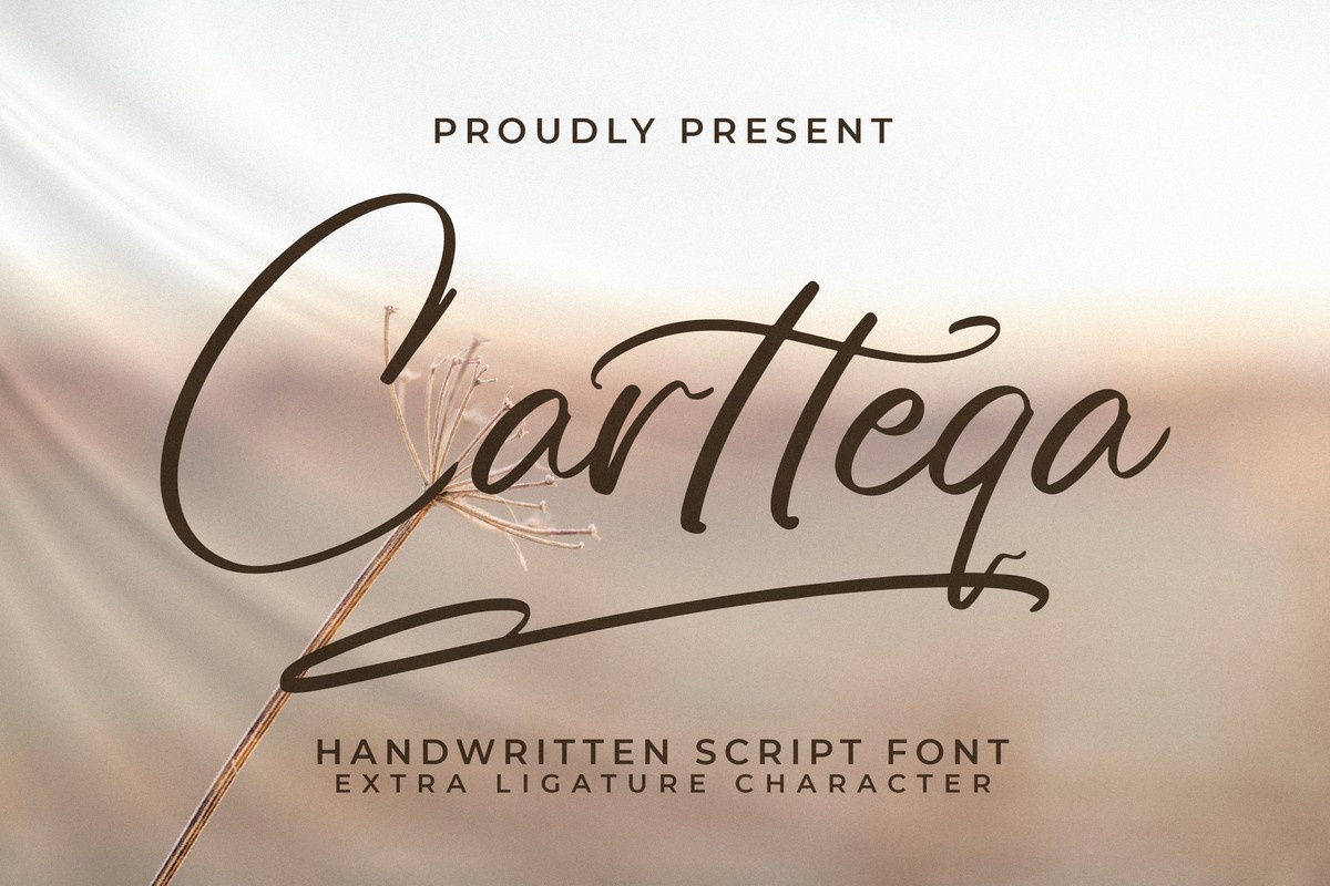 Cartteqa