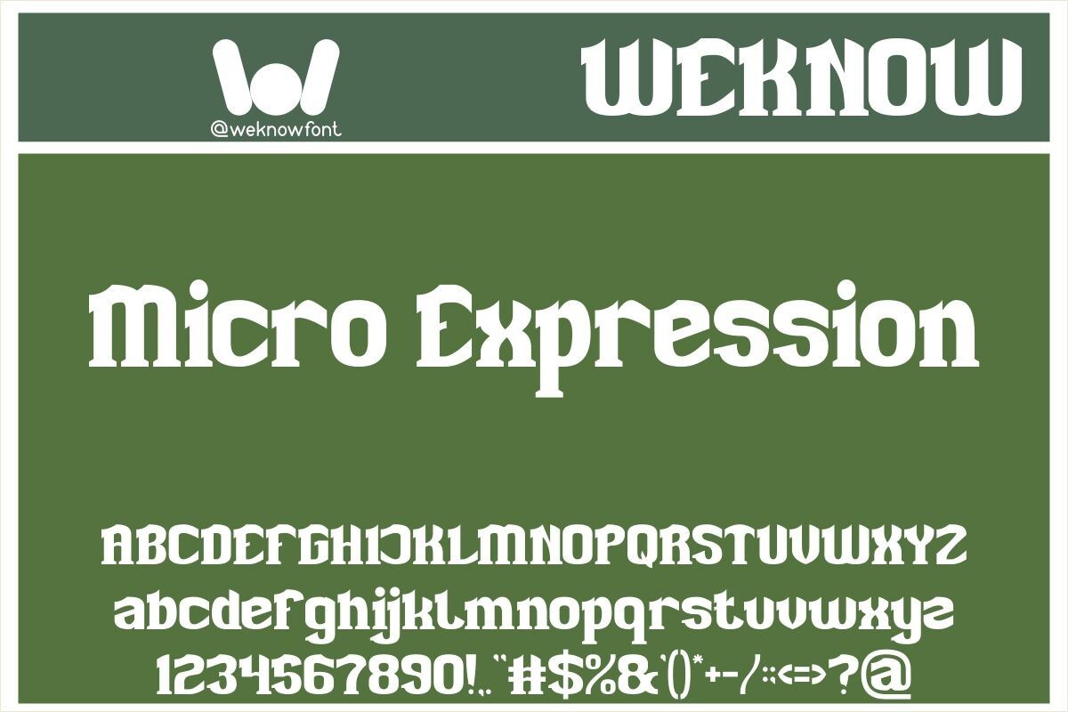 Micro Expression: download for free and install for your website or ...